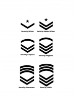 Security Insignia.png